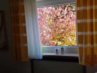 Blick aus dem Wohnzimmer