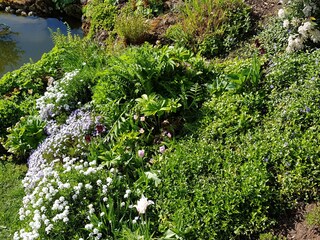 Springtime