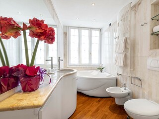 Appartamento Venedig Caratteristiche 44