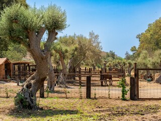 Apartment Syrakus Außenaufnahme 10