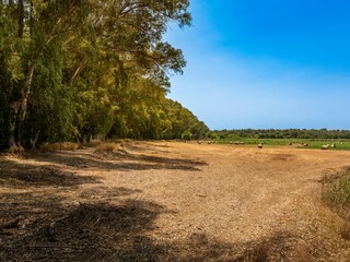 Appartement Syrakus Enregistrement extérieur 11