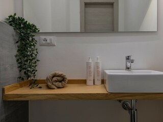 Appartamento Turin Caratteristiche 37