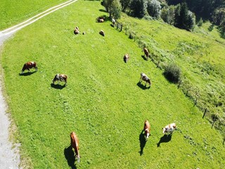 Apartment Mühlbach im Pinzgau Außenaufnahme 8