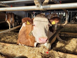 Appartamento Mühlbach im Pinzgau  34