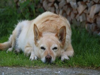 Appartamento Mühlbach im Pinzgau  36