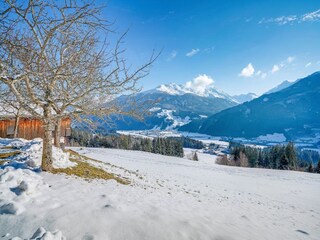 Apartment Mühlbach im Pinzgau Environment 33
