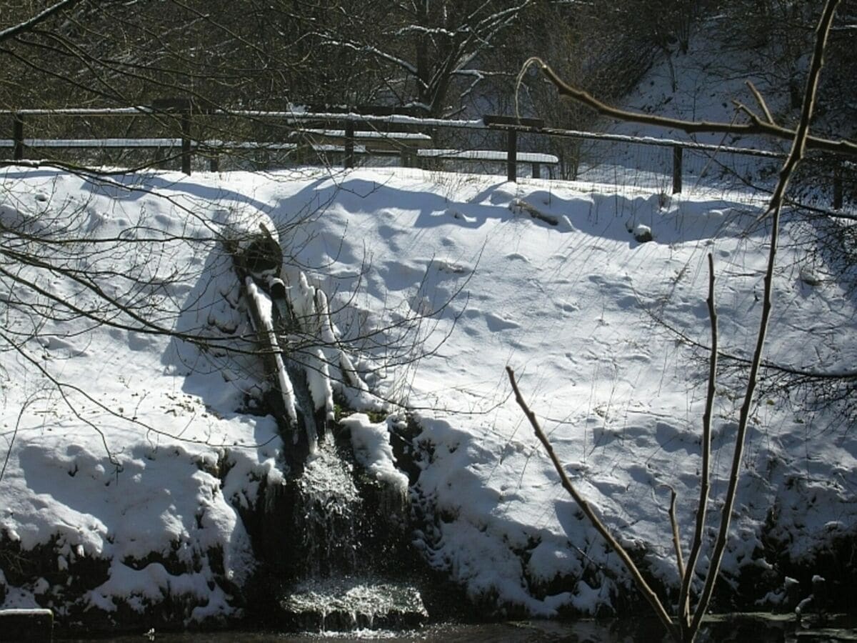 Ferienpark Schönecken Umgebung 15