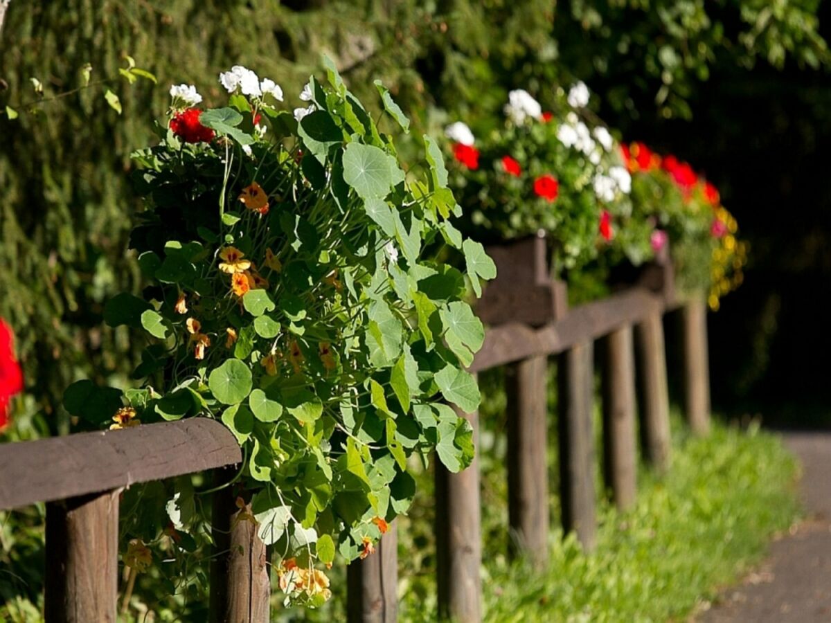 Ferienpark Schönecken  20