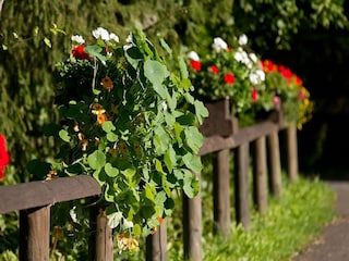 Parque de vacaciones Schönecken  36