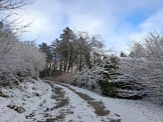 Ferienpark Schönecken Umgebung 52