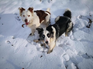 Ferienpark Schönecken  58