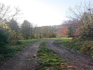 Parco vacanze Schönecken Ambiente 22