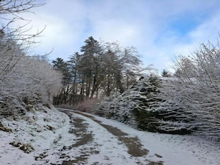 Ferienpark Schönecken Umgebung 28