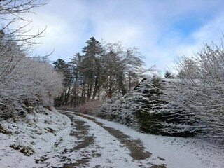 Parc de vacances Schönecken Environnement 28