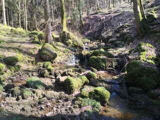 Parc de vacances Schönecken Environnement 22