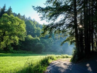 Parc de vacances Schönecken Environnement 12