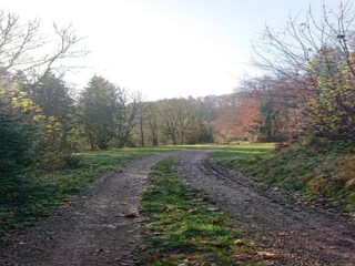 Parc de vacances Schönecken Environnement 23