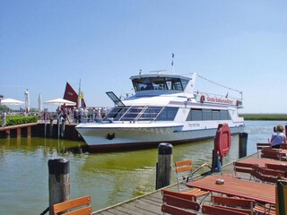 Apartment Wieck Umgebung 12