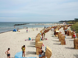 Apartment Wieck Umgebung 13