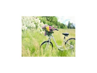 Vakantiehuis Sarbinowo Omgeving 22