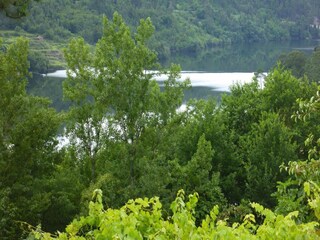 Holiday park Paredes Environment 40
