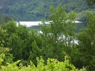 Holiday park Paredes Environment 33