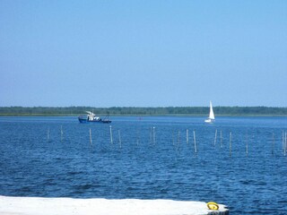 Parc de vacances Lubin Environnement 12