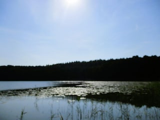 Ferienpark Kołczewo Umgebung 20