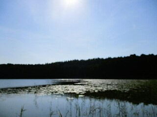 Vakantiepark Kołczewo Omgeving 23