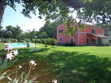 Ferienwohnung Rosa
