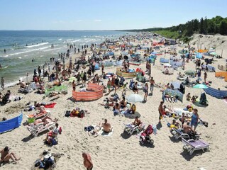 Vakantiepark Pobierowo Omgeving 37