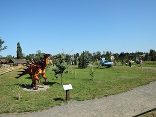 Vakantiepark Dziwnowek Omgeving 19