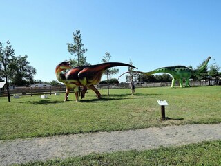 Parc de vacances Dziwnowek Environnement 21