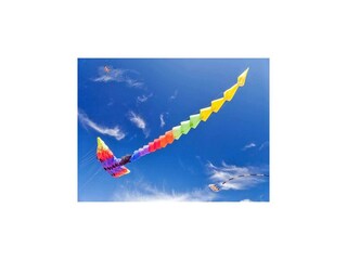 Vakantiepark Grzybowo Omgeving 17