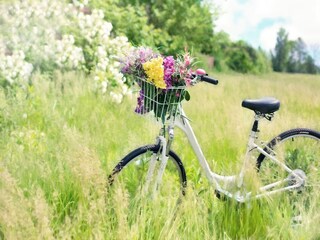 Ferienpark Gaski Umgebung 16