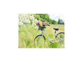 Vakantiepark Ustronie Morskie Omgeving 24