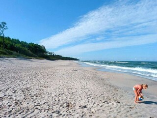 Vakantiepark Wicie Omgeving 13