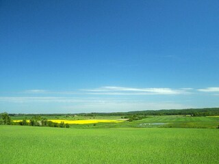 Parc de vacances Wicie Environnement 16