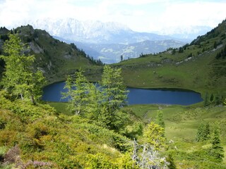 Appartamento per vacanze Dorfgastein Ambiente 22