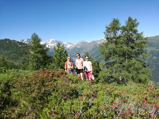 Appartamento per vacanze Dorfgastein  22
