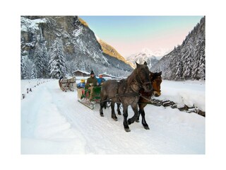 Appartamento per vacanze Dorfgastein Ambiente 40