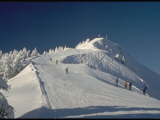 Appartamento per vacanze Dorfgastein Ambiente 34