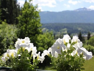 Apartamento Hermagor Grabación al aire libre 7