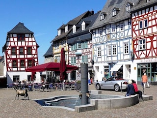 Apartment Bad Camberg Umgebung 38