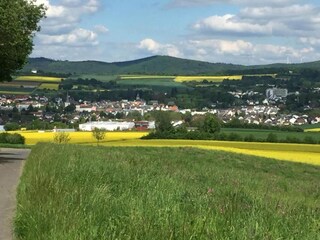 Apartment Bad Camberg Environment 34