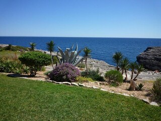 Apartment Cala D'Or Environment 31