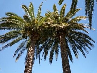 Holiday house Cala D'Or  32