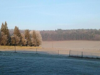 Appartement Remilly-Aillicourt Environnement 30