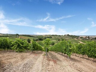 Casa per le vacanze Montaione Ambiente 25