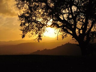 Casa de vacaciones Montecarlo Entorno 32